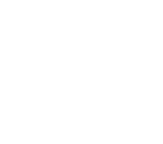 HW Group